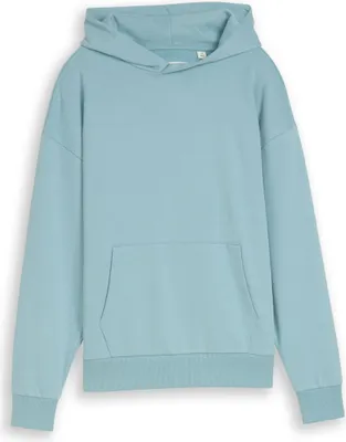 Produktbild von Tom Tailor 1049831_164, Kind, Männlich, Kapuzenpullover, Aqua-Farbe, Langärmlig, Lockere Passform