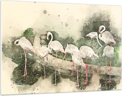 Produktbild von Bilder auf glas - Flamingo Vogel Wasser - 120x80cm - Glasbilder - Wandbilder - Kunstdruck - zum Aufhängen bereit - Wanddekoration aus Glas - Glas Bilder - Wandbild auf Glas - GAA120x80-3462