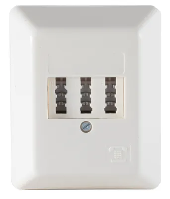 Image de shiverpeaks BASIC-S Prise TAE - en saillie blanc pur