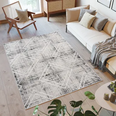 Image de Tapis Moderne Design Chambre à coucher Salon Vintage Chiné Gris Crème Oekotex 120 x 170 cm