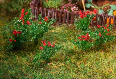 Produktbild von Faller H0 Gemüse und Blumen Sets 1:87, Modellbau:181281 26 Rosen