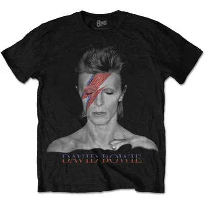 Image de David Bowie Aladdin Sane Black M T-shirt
