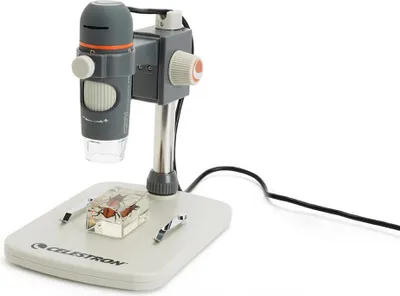 Produktbild von Celestron HandHeld PRO, Digitales Mikroskop, Grau, Weiß, 1 m, 200x, 20x, LED
