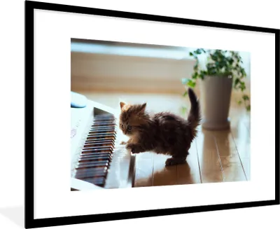 Produktbild von MuchoWow® MuchoWow® Gerahmtes Poster Katze - Tier - Kätzchen 90x60 cm - Poster mit zchwarzem Bilderrahmen - Wanddekoration - Fotos