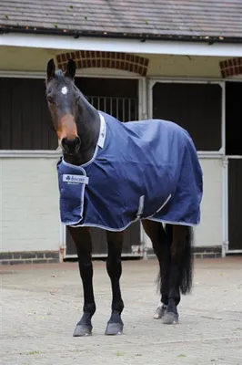 Produktbild von Bucas Celtic Stable Light  Leichte Stalldecke - 125 cm navy, Älteres Modell