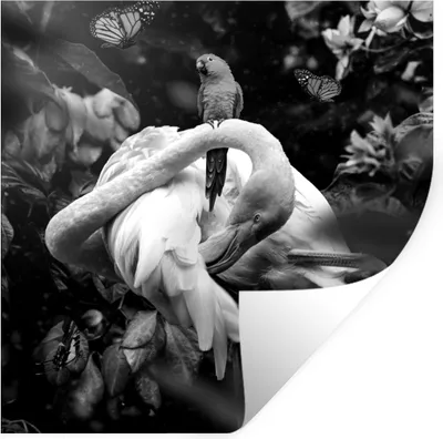 Produktbild von MuchoWow® Wandtattoo Wandsticker Wandaufkleber Flamingo - Schmetterlinge - Dschungel - Schwarz - Weiß 80x80 cm Selbstklebend und Repositionierbar - Wierderverwendbar - Selbstklebend