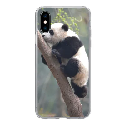 Produktbild von MuchoWow® Handyhülle Schutzhülle Hülle für iPhone X Panda - Tier - Baum Silikon Softcase Handy Hülle - Handyhülle