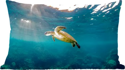 Produktbild von MuchoWow® Zierkissen Sofakissen Wohnzimmer Dekokissen 50x30 cm Schildkröte im klaren Wasser - Wohnzimmerdekoration - Polster mit Photo