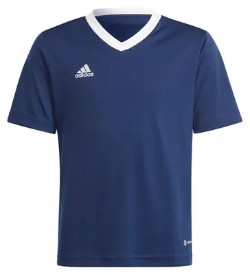 Produktbild von adidas Entrada 22 Trikot 152 TENABL