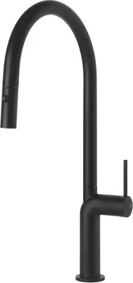 A black kitchen faucet against a white background.