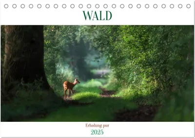 Produktbild von WALD Erholung pur (Tischkalender 2025 DIN A5 quer), CALVENDO Monatskalender