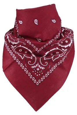 Produktbild von Bandana 100% Baumwolle 54x54 cm – Halstuch, Kopftuch, hitze- und schweißresistent