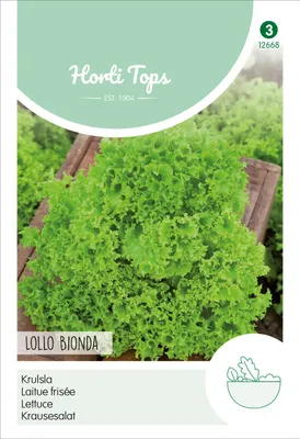 Produktbild von Krausesalat Lollo Bionda | Salatsamen von Hortitops