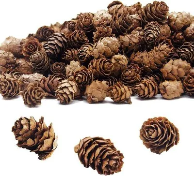 Immagine prodotto di Ciotole in legno Naturale - Decorazioni fai da te - 450 pezzi - Marrone