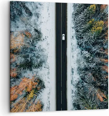 Produktbild von Bild auf Leinwand - Leinwandbild - Einteilig - Wald Weg Schnee - 60x60cm - Wand Bild - Wanddeko - Wandbilder - Leinwanddruck - Bilder - Wanddekoration - Leinwand bilder - Wandbild - AC60x60-4654