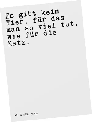 Produktbild von Mr. & Mrs. Panda Postkarte Es gibt kein Tier,... - Weiß - Geschenk, Ansichtskarten, Ansichtskarte, Fotokarte, Tier, lustig, Katz, Grußkarte, Sprüche, Kater, Haus, witzig