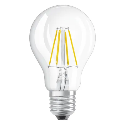 A clear, studio shot of an LED filament light bulb against a white background.