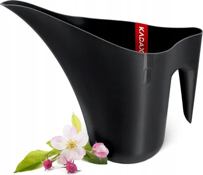 Image de Arrosoir - Arrosoir - 1,2 L - Jardin & intérieur - Pour fleurs et plantes