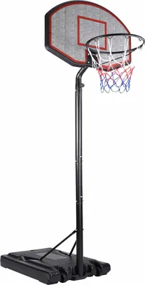 Immagine prodotto di Canestro da basket regolabile con ruote, 205-305 cm