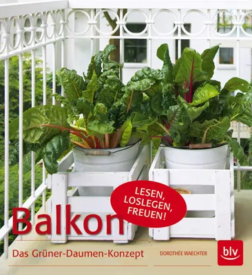 Produktbild von Balkon