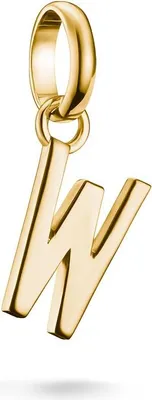 Produktbild von Thomas Sabo Charm Club Connect CC1229-413-39 Charm Anhänger
