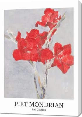 Zdjęcie produktu dla Obraz 70x100cm Design Red Gladioli, Mondrian Vintage do Salonu