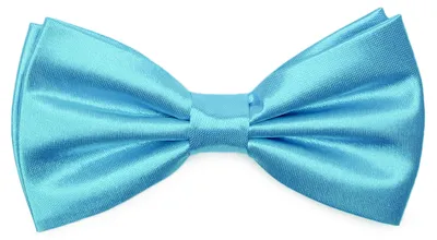 Image de Ladeheid Noeud papillon élégant pour hommes -Haute qualité brillant Réglable BMS (12cmx6cm)