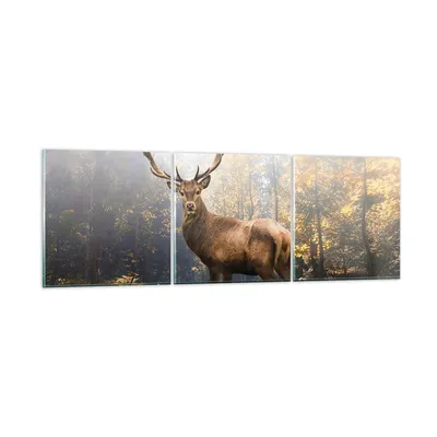 Produktbild von Bilder auf glas - 3 Teile - Licht Hirsch Wald - 90x30cm - Glasbilder - Wandbilder - Bilder - zum Aufhängen bereit - Wanddekoration aus Glas - Glas Bilder - Wandbild auf Glas - GCA90x30-4452
