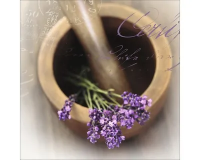 Produktbild von Glasbild Lovely Lavender I 30x30 cm