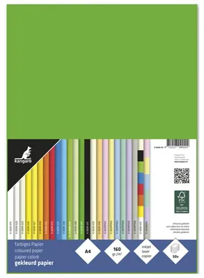 Produktbild von kangaro Multifunktionspapier DIN A4 160 g/qm grün 50 Blatt