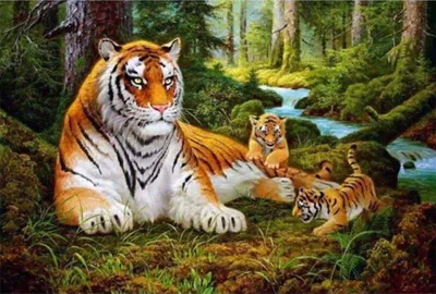Malen nach Zahlen Tiger 40x50 cm DIY Malset für Erwachsene
