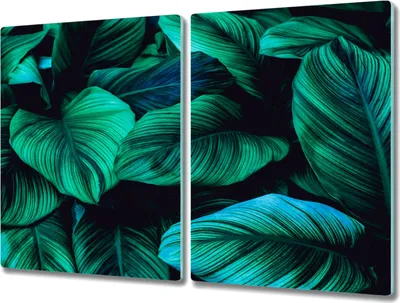 Produktbild von Coloray Schneidebrett Herdabdeckplatte 2x40x52 cm Kochplattenabdeckung Hackbrett Küchenbrett - Blumen-Blätter der Pflanze