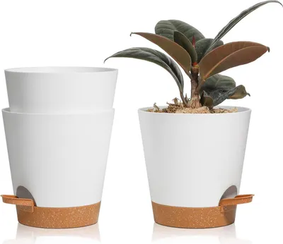 Image de T4U Pot de fleurs 14cm avec auto-arrosage, set de 3 avec soucoupe, idéal pour les succulentes et les cactus
