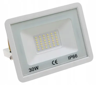 Zdjęcie produktu dla HALOGEN Lampa NAŚWIETLACZ Roboczy LED BIAŁY 30W Reflektor 1115/30