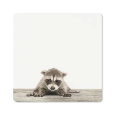 Produktbild von MuchoWow® Mauspad Mousepad Waschbär - Tiere - Jungen - Mädchen 20x20 cm - Mousepads - Maus Mat - Pad - Mausunterlage - Desk Mat - Bureauartikeln