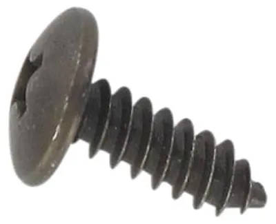 Produktbild von Blechschraube ST4.8x16mm verzinkt Rex RS450 50ccm 4Takt Motorroller.de Kreuzschlitzschraube Kreuzschraube Blech-Schraube Treibschraube 1E40QMB