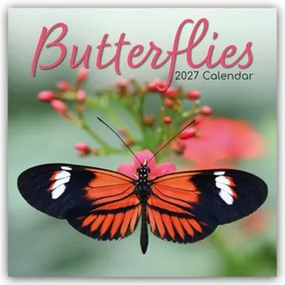 Produktbild von Butterflies - Schmetterlinge 2027 - 16-Monatskalender