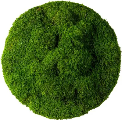 Produktbild von Rundes Moosbild mit konserviertem Moos 3D Wandbild rund (100% Flachmoos, Ø 30 cm)
