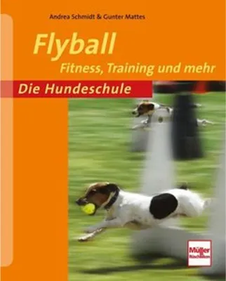 Produktbild von Flyball
