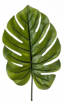 Produktbild von künstliches Blatt, Palmblatt XL Monstera H. 95cm grün Emerald Blattzweig