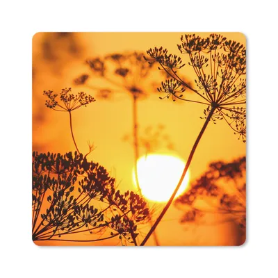 Produktbild von MuchoWow® Mauspad Mousepad Pflanzen - Blumen - Sonnenuntergang - Orange 20x20 cm - Mousepads - Maus Mat - Pad - Mausunterlage - Desk Mat - Bureauartikeln