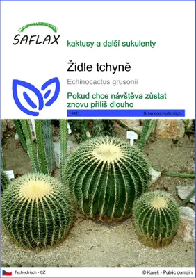 Obrázek produktu pro SAFLAX - židle tchyně - Echinocactus grusonii - 40 Semena