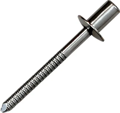 Image de RIVET SS D3 2x6, transparent