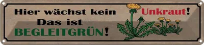 Produktbild von vianmo Blechschild 10x46 cm hier wächst kein Unkraut das ist Spruch Zitat