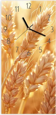 Produktbild von Wanduhr aus Glas mit Motiv Weizenfelder- 30 x 60 cm - inkl. Aufhängesystem