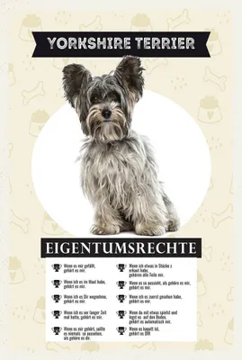 Produktbild von vianmo Holzschild 18x12 cm Yorkshire Terrier Eigentumsrechte