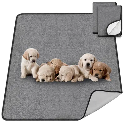 Zdjęcie produktu dla Wielorazowa mata do treningu psów - 70 x 100 cm