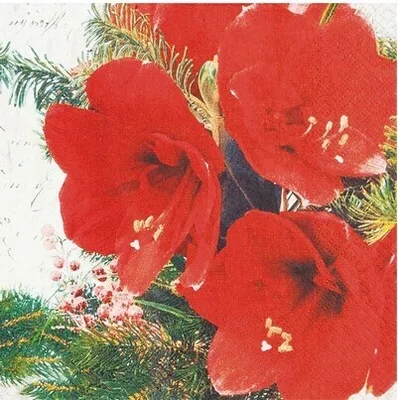 Produktbild von 20 kleine Cocktailservietten Red Amaryllis - Rote Amaryllisblüten 25x25cm