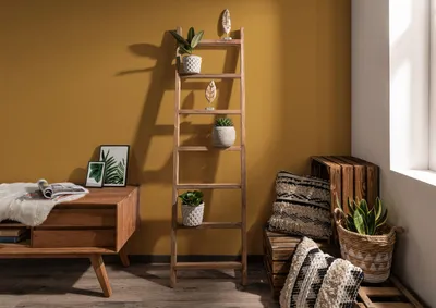A wooden ladder shelf with plants and decorative items, next to a wooden cabinet and storage crates.
