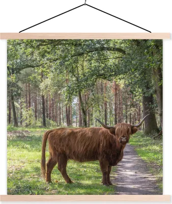 Produktbild von MuchoWow® Textilposter Schottisches Hochlandrind - Kröte - Baum 40x40 cm mit holzfarbenen Rahmen - Posterleiste